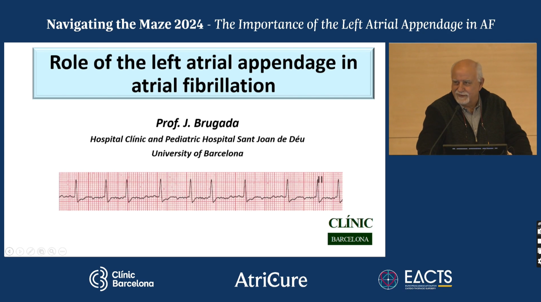 The Importance of the Left Atrial Appendage in AF