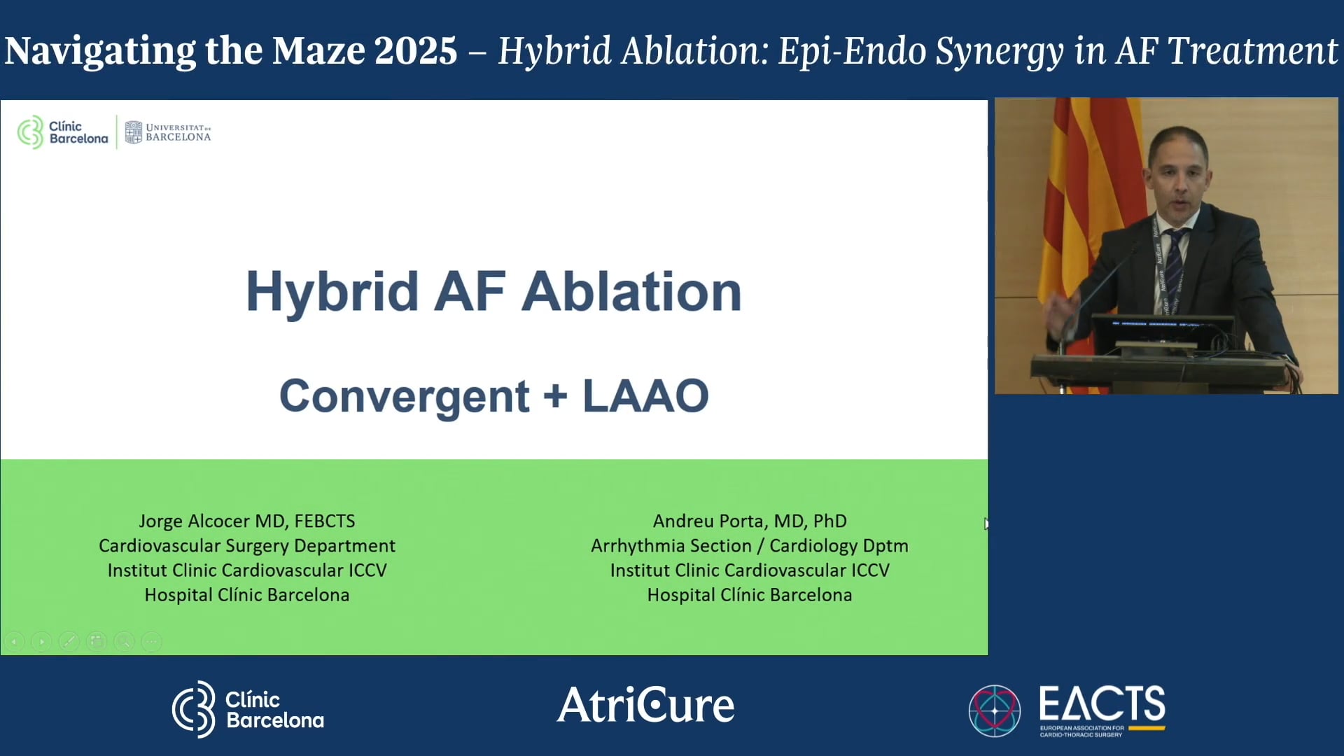Hybrid Ablation: Epi-Endo Synergy in AF Treatment