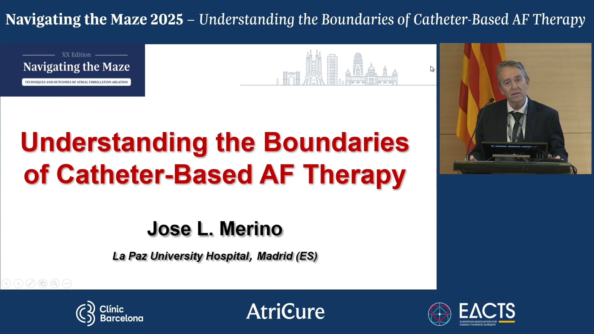 Understanding the Boundaries of Catheter-Based AF Therapy